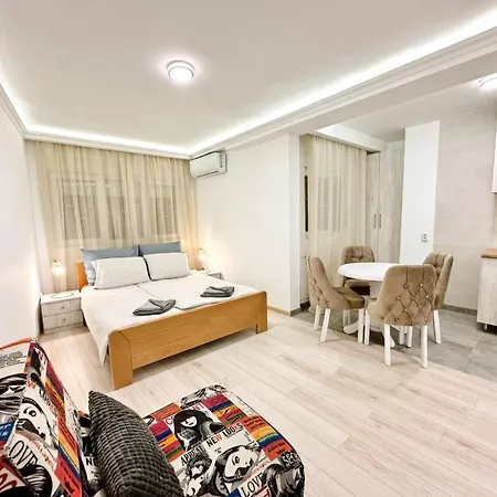 Modern Renovated *
