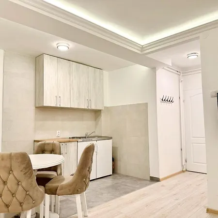 Modern Renovated Apartament